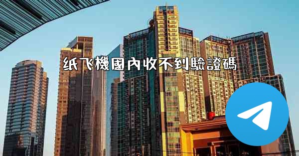 纸飞機國內收不到驗證碼