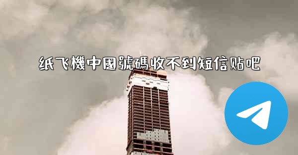 纸飞機中國號碼收不到短信贴吧