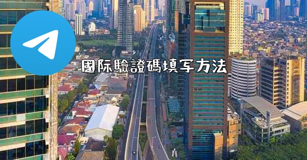 國际驗證碼填写方法