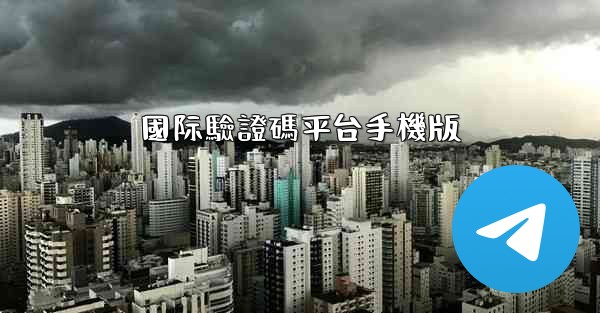 國际驗證碼平台手機版