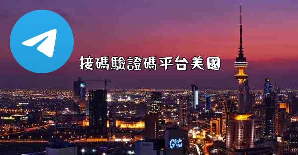 接碼驗證碼平台美國