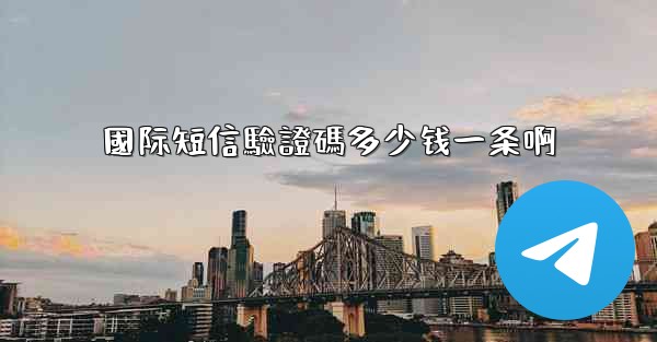 國际短信驗證碼多少钱一条啊