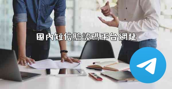 國內短信驗證碼平台網址