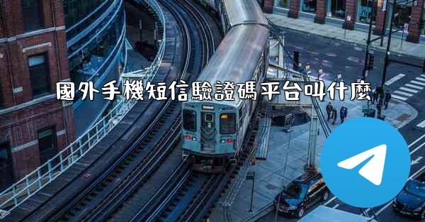 國外手機短信驗證碼平台叫什麼
