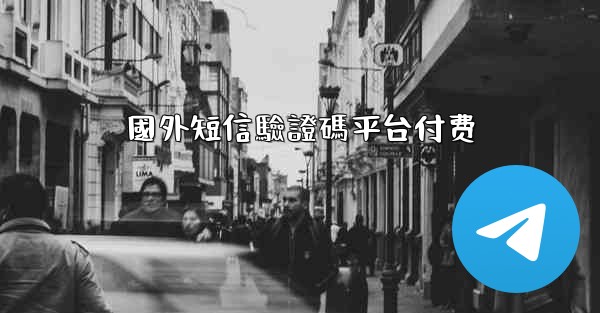 國外短信驗證碼平台付费