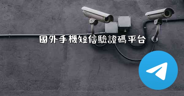 國外手機短信驗證碼平台