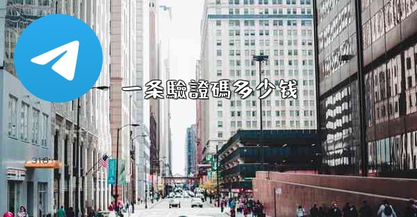 一条驗證碼多少钱