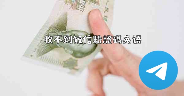 收不到短信驗證碼英语