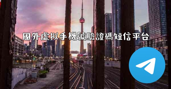 國外虚拟手機號驗證碼短信平台