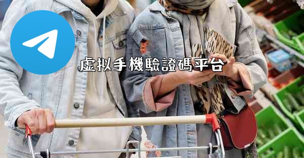 虚拟手機驗證碼平台