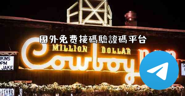 國外免费接碼驗證碼平台