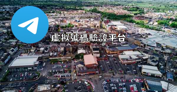 虚拟號碼驗證平台