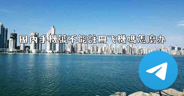 國內手機號不能註冊飞機嗎怎麼办