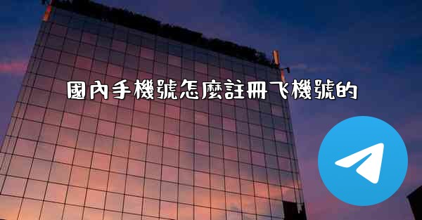 國內手機號怎麼註冊飞機號的