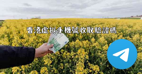 香港虚拟手機號收取驗證碼