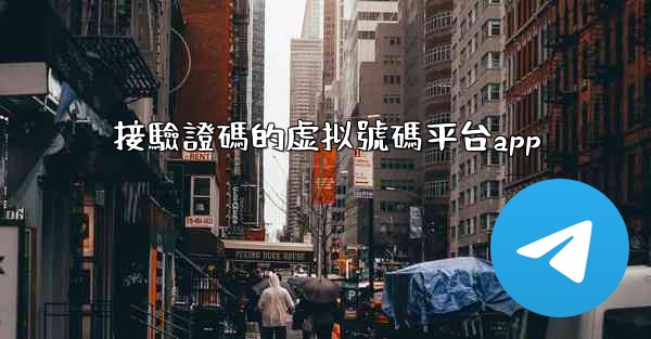 接驗證碼的虚拟號碼平台app