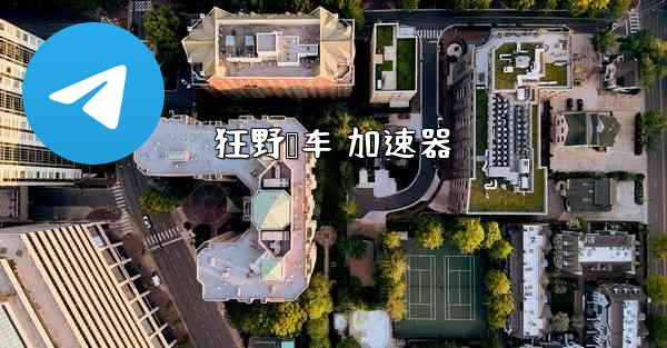 狂野飙车 加速器