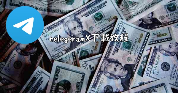 telegeramX下載教程