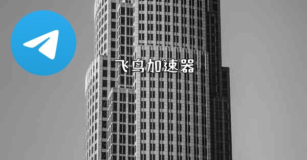 飞鸟加速器