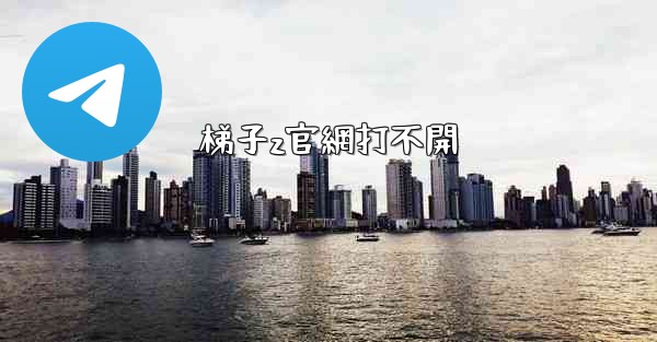 梯子z官網打不開