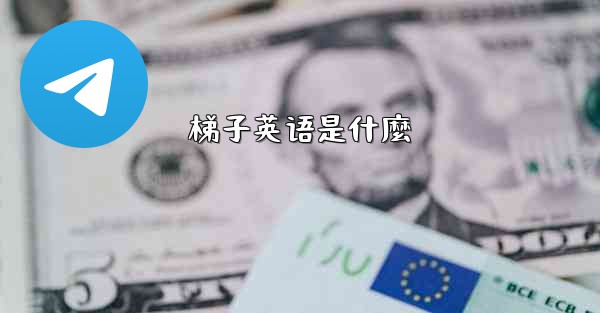 梯子英语是什麼