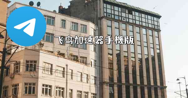 飞鸟加速器手機版