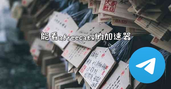 能看afreecatv的加速器