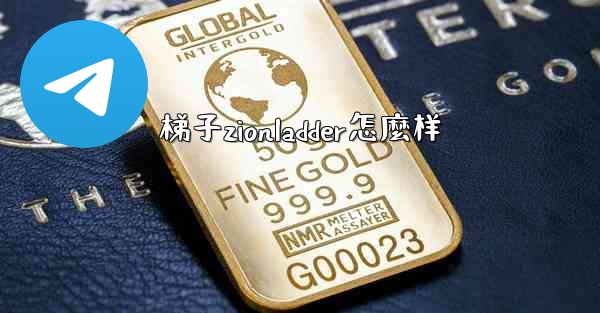 梯子zionladder怎麼样