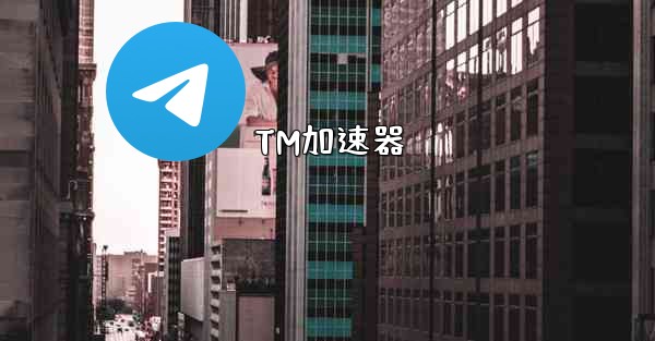 TM加速器