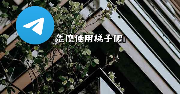 怎麼使用梯子爬墙