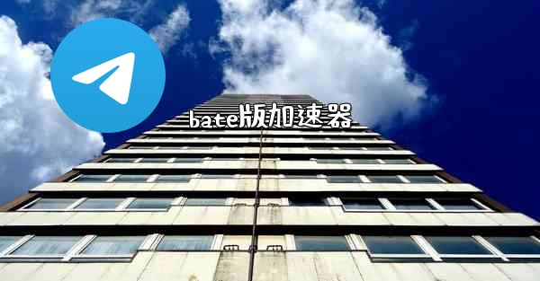 bate版加速器