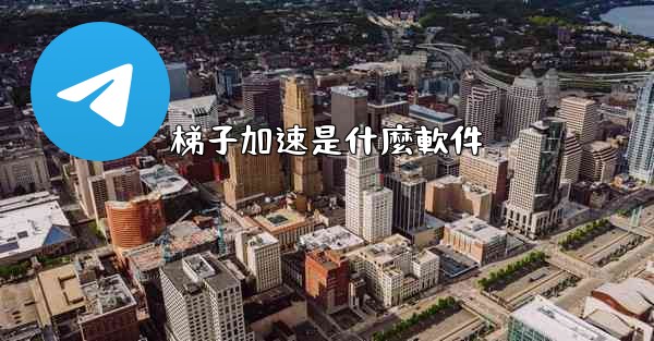 梯子加速是什麼軟件