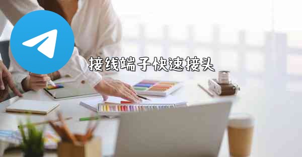 接线端子快速接头