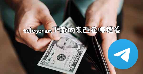 telegeram下載的东西在哪裡看