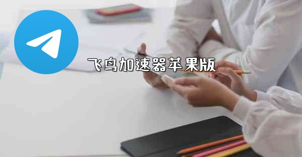 飞鸟加速器苹果版