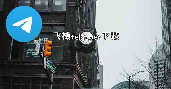 飞機telgamer下載