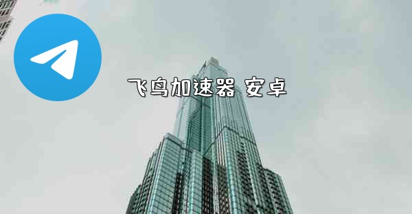 飞鸟加速器 安卓