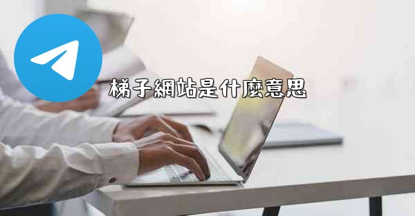 梯子網站是什麼意思