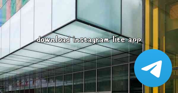 download instagram lite app
