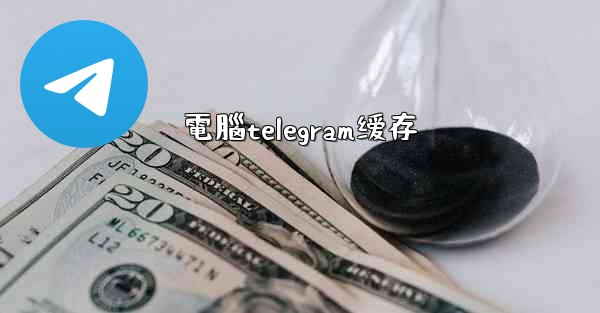 電腦telegram缓存