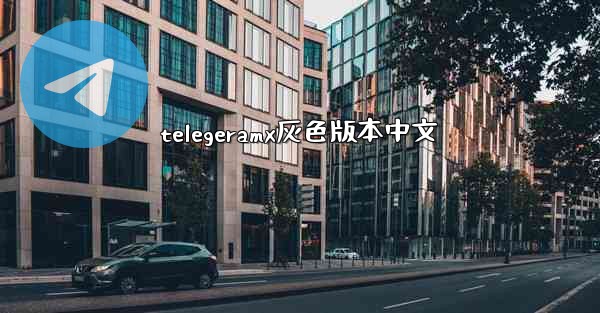 telegeramx灰色版本中文