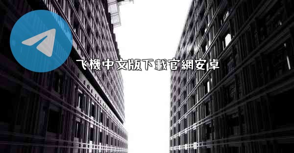 飞機中文版下載官網安卓