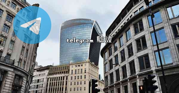 telegram 驗證
