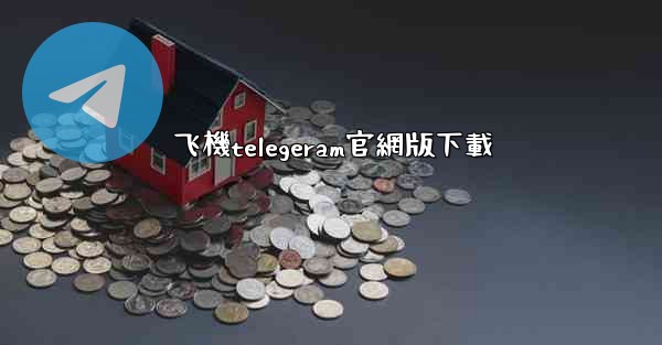 飞機telegeram官網版下載