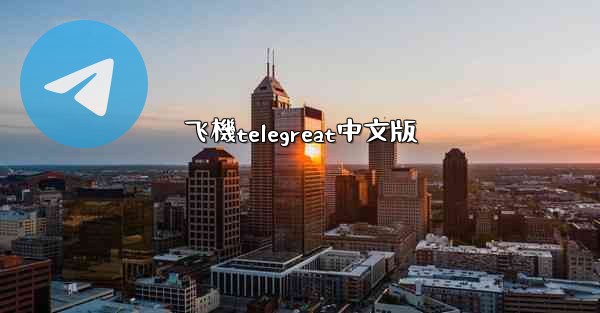 飞機telegreat中文版