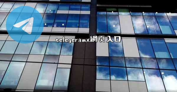 telegeramx網页入口