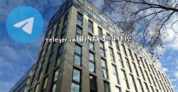 telegeram國內版本叫什麼