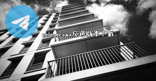 telegeramx灰色版本下載