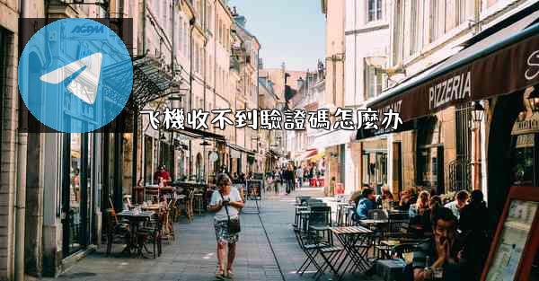 飞機收不到驗證碼怎麼办