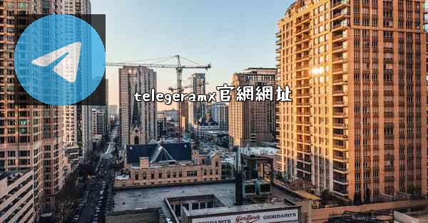 telegeramx官網網址